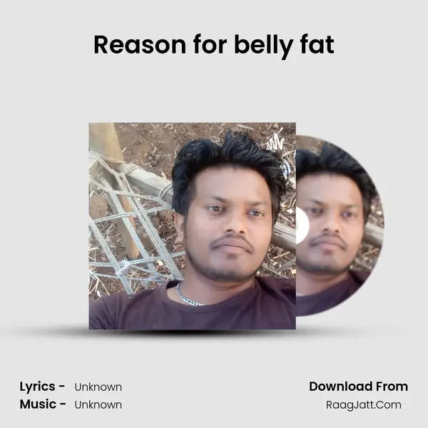 Reason for belly fat MP3 Song by  Cover