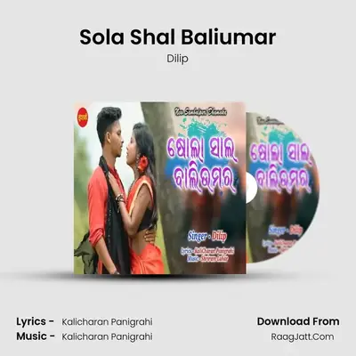 Sola Shal Baliumar - Dilip