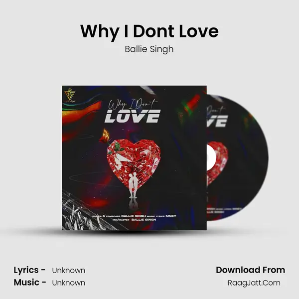 Why I Don&#x27;t Love mp3 song
