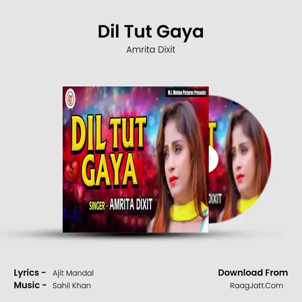 Dil Tut Gaya - Amrita Dixit