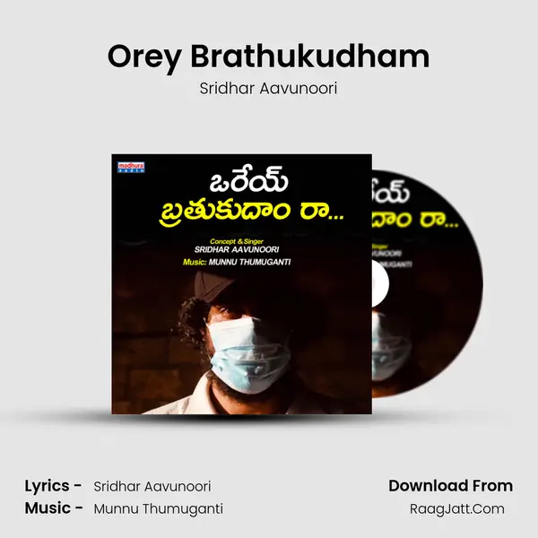 Orey Brathukudham - Sridhar Aavunoori