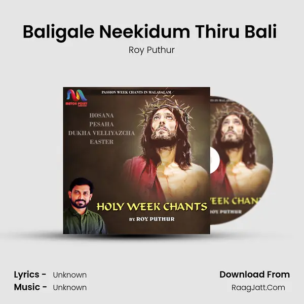 Baligale Neekidum Thiru Bali (Dukha Velliyazha, Good Friday) MP3 Song by Roy Puthur Cover