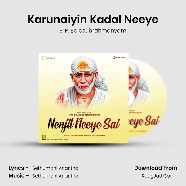 Karunaiyin Kadal Neeye MP3 Song by S. P. Balasubrahmanyam Cover