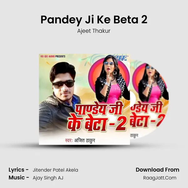 Pandey Ji Ke Beta 2 - Ajeet Thakur