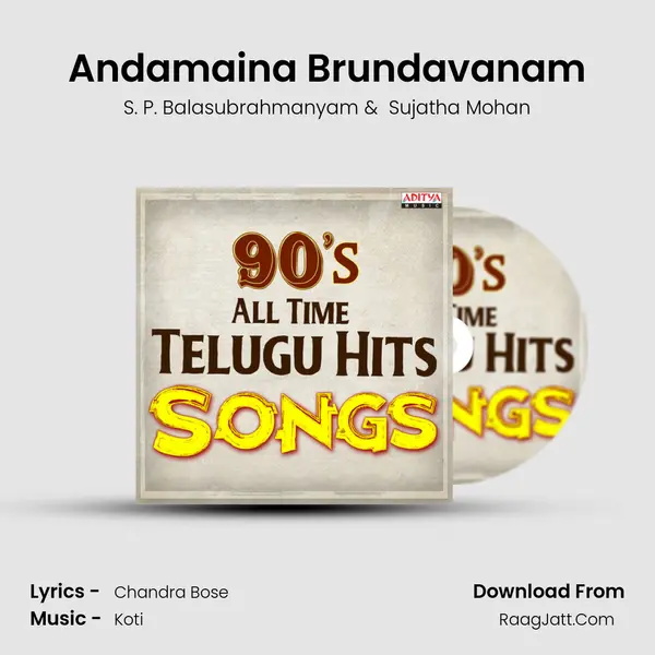 Andamaina Brundavanam Cover
