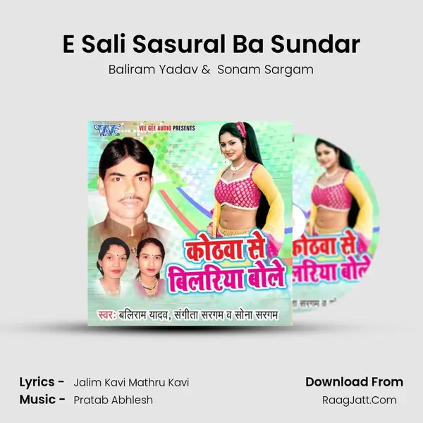 E Sali Sasural Ba Sundar mp3 song