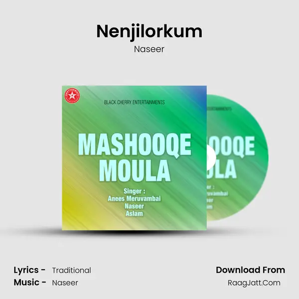 Nenjilorkum MP3 Song by Naseer Cover