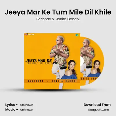 Jeeya Mar Ke Tum Mile Dil Khile Cover