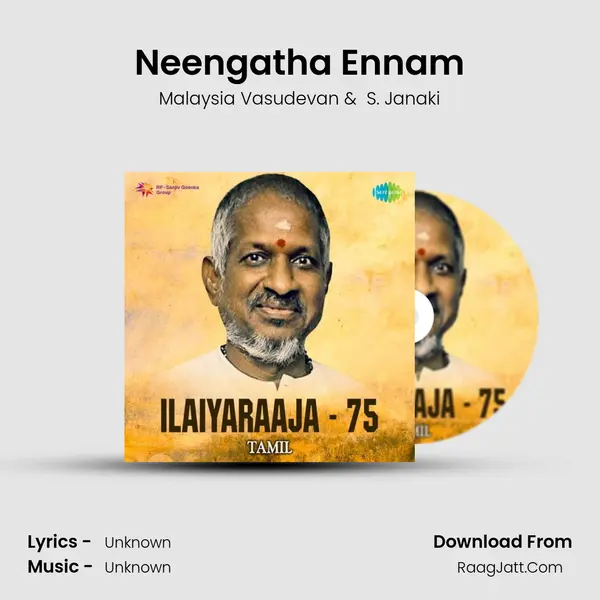 Neengatha Ennam Cover