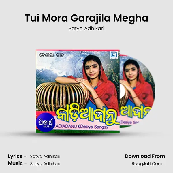 Tui Mora Garajila Megha MP3 Song by Satya Adhikari Cover
