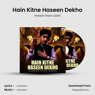 Hain Kitne Haseen Dekho MP3 Song by Hassan Raza Qadri Cover