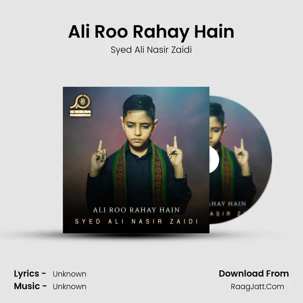 Ali Roo Rahay Hain - Single - Syed Ali Nasir Zaidi