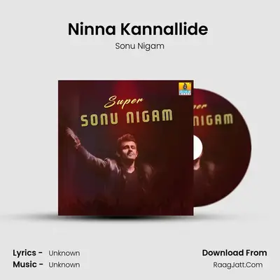 Ninna Kannallide (From "Chirru") Cover