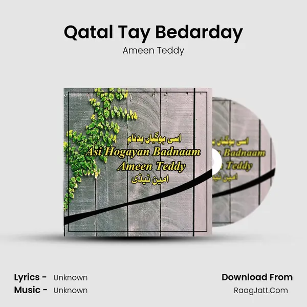 Qatal Tay Bedarday MP3 Song by Ameen Teddy Cover