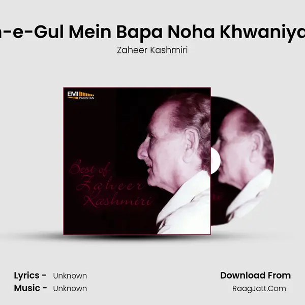 Hein Bazm-e-Gul Mein Bapa Noha Khwaniyan Kya Kya MP3 Song by Zaheer Kashmiri Cover