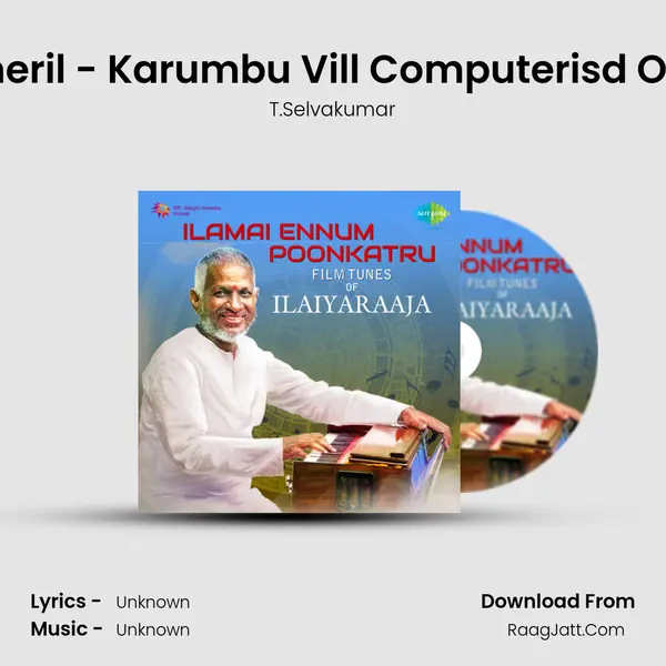 Meenkodi Theril - Karumbu Vill Computerisd Orchestration MP3 Song by T.Selvakumar Cover