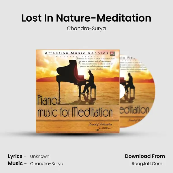 Lost In Nature-Meditation MP3 Song by Chandra-Surya Cover