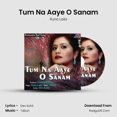 Tum Na Aaye O Sanam - Runa Laila