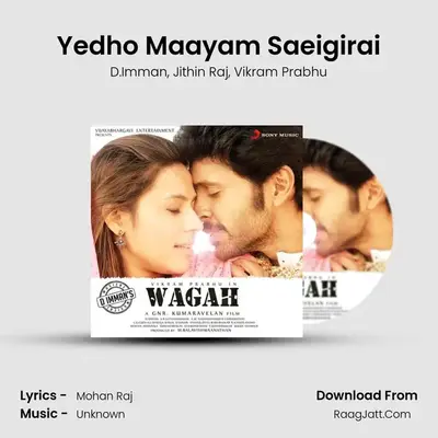 Yedho Maayam Saeigirai MP3 Song by D.Imman Cover