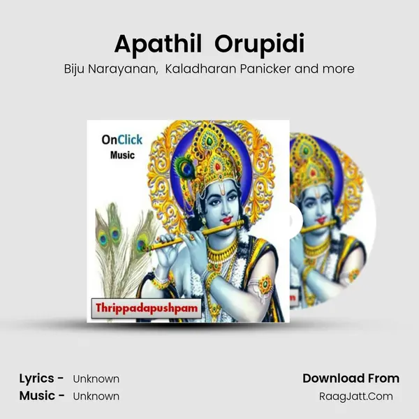 Apathil  Orupidi MP3 Song by Biju Narayanan Cover