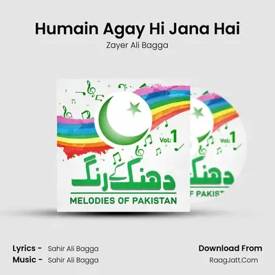 Zayer Ali Bagga