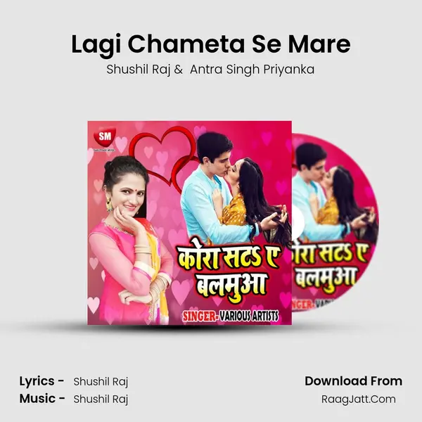 Lagi Chameta Se Mare MP3 Song by Shushil Raj Cover