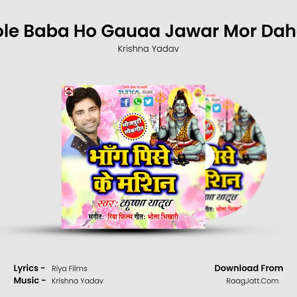 Bhole Baba Ho Gauaa Jawar Mor Dahata MP3 Song by Krishna Yadav Cover