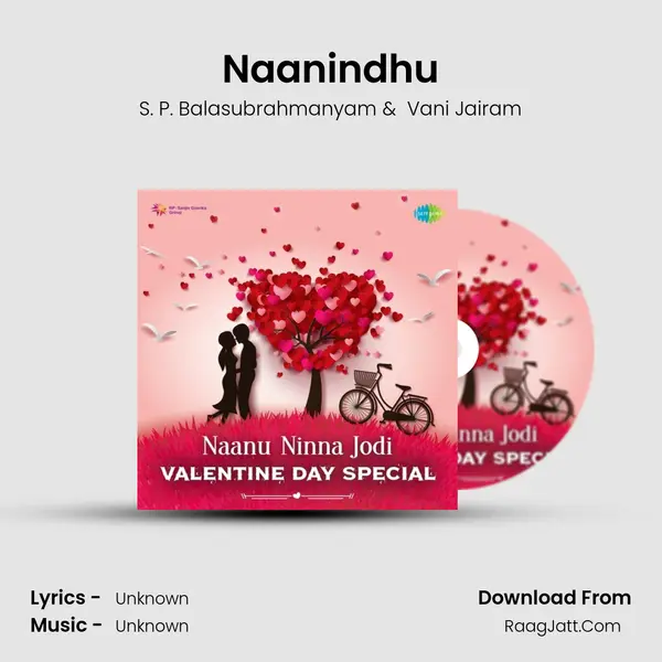 Naanindhu Cover