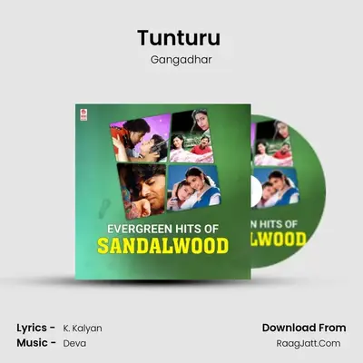 Tunturu (From Amruthavarshini) mp3 song