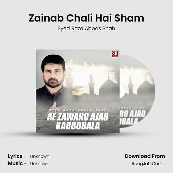 Zainab Chali Hai Sham MP3 Song by Syed Raza Abbas Shah Cover