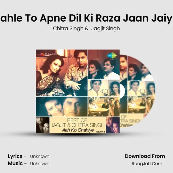Pahle To Apne Dil Ki Raza Jaan Jaiye MP3 Song by Chitra Singh Cover