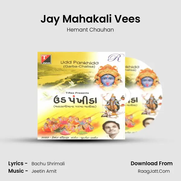 Jay Mahakali Vees MP3 Song by Hemant Chauhan Cover