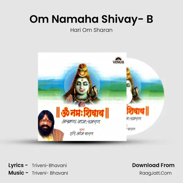Om Namaha Shivay- B MP3 Song by Hari Om Sharan Cover