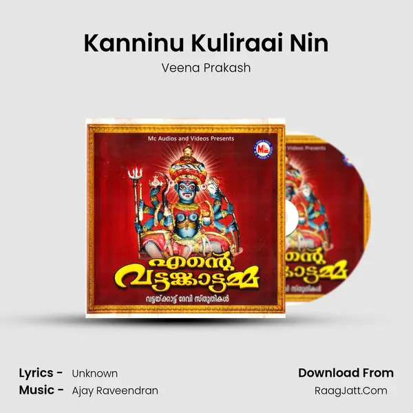 Kanninu Kuliraai Nin MP3 Song by Veena Prakash Cover