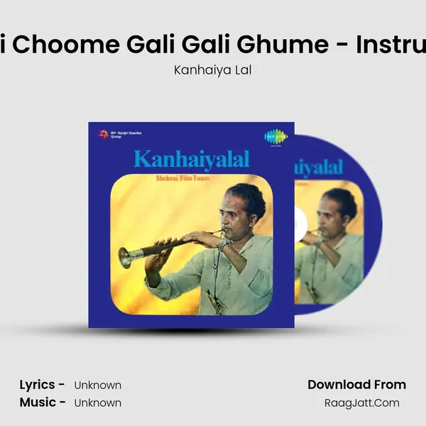 Kali Kali Choome Gali Gali Ghume - Instrumental MP3 Song by Kanhaiya Lal Cover