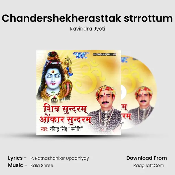 Chandershekherasttak strrottum MP3 Song by Ravindra Jyoti Cover