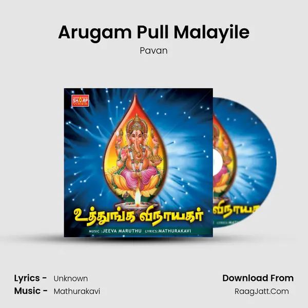Arugam Pull Malayile MP3 Song by Pavan Cover