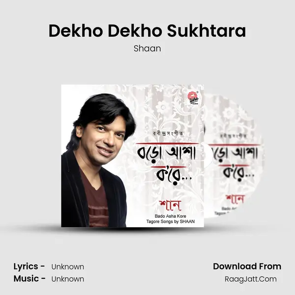 Dekho Dekho Sukhtara MP3 Song by Shaan Cover