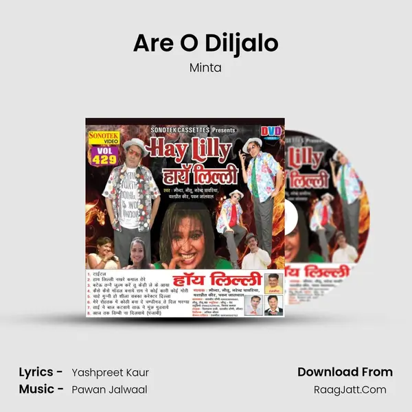 Are O Diljalo MP3 Song by Minta Cover