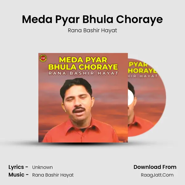 Meda Pyar Bhula Choraye Cover