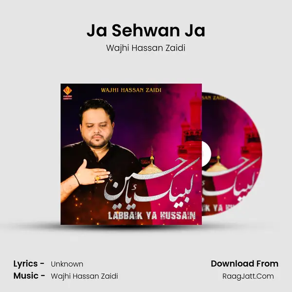 Ja Sehwan Ja MP3 Song by Wajhi Hassan Zaidi Cover