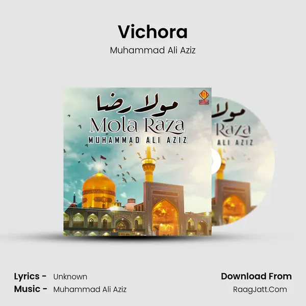 Vichora MP3 Song by Muhammad Ali Aziz Cover