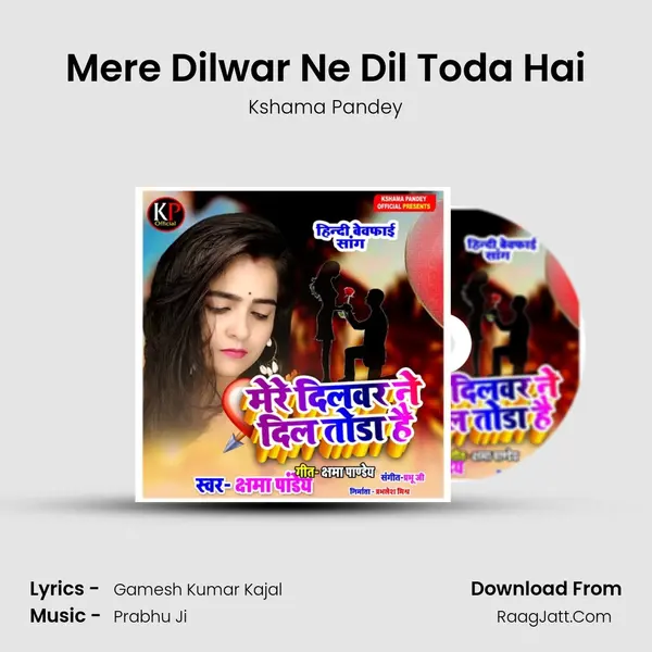 Mere Dilwar Ne Dil Toda Hai mp3 song