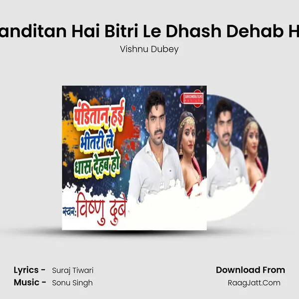 Panditan Hai Bitri Le Dhash Dehab Ho MP3 Song by Vishnu Dubey Cover