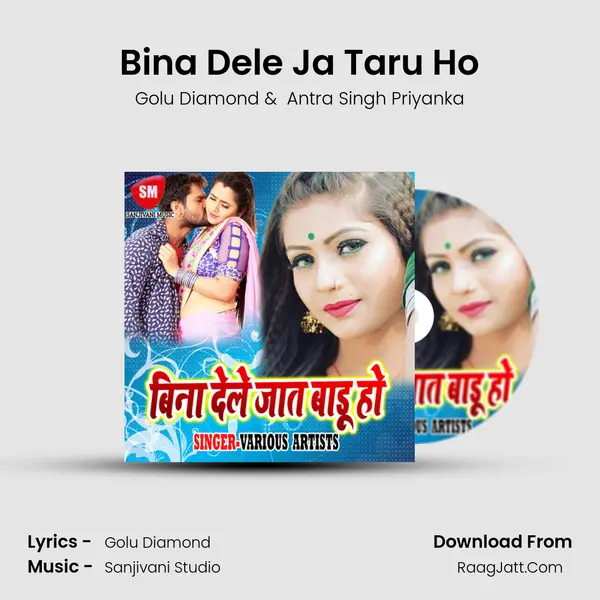 Bina Dele Ja Taru Ho MP3 Song by Golu Diamond Cover