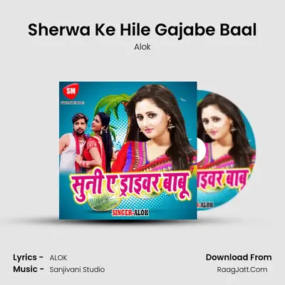 Sherwa Ke Hile Gajabe Baal MP3 Song by Alok Cover