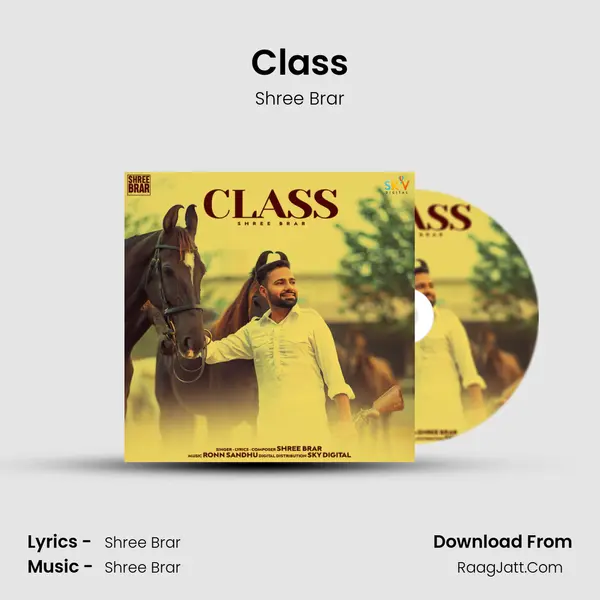 Class - Shree Brar