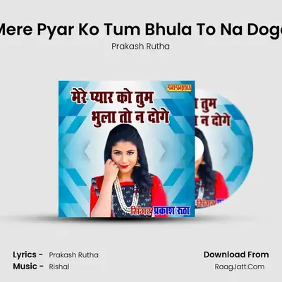 Mere Pyar Ko Tum Bhula To Na Doge mp3 song