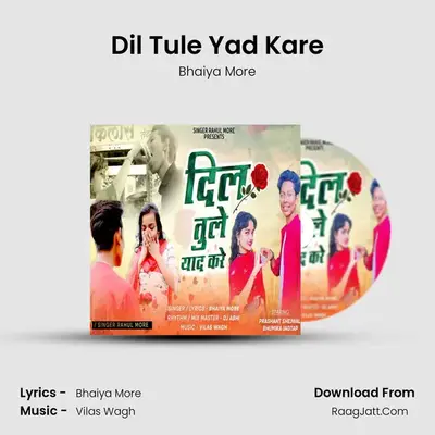 Dil Tule Yad Kare - Bhaiya More