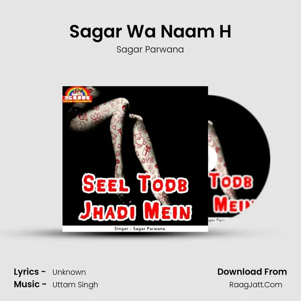 Sagar Wa Naam H MP3 Song by Sagar Parwana Cover